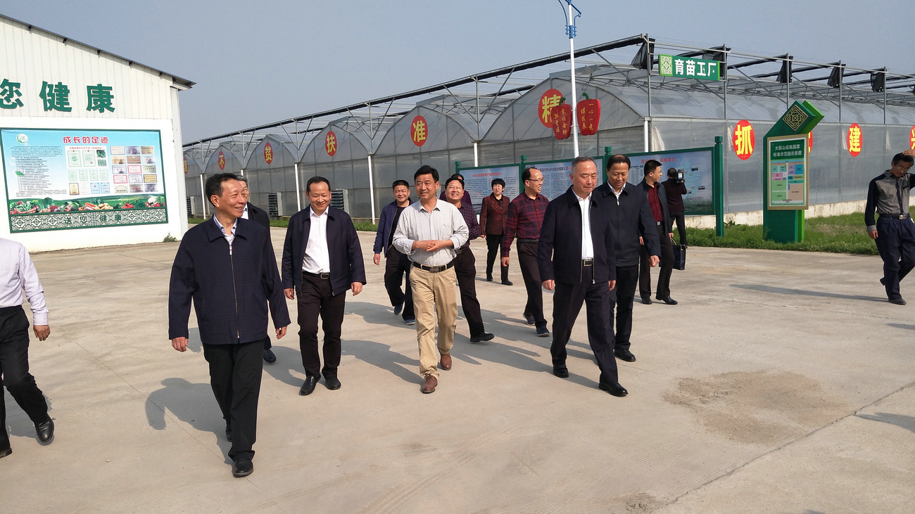 原湖北省政協主席、黨組書記徐立全來公司視察指導工作